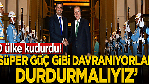 Türkiye 'Süper güç gibi davranıyor, durdurmalıyız'