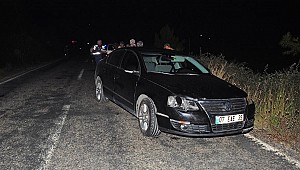 Çoban ve sürüsüne otomobil çarptı