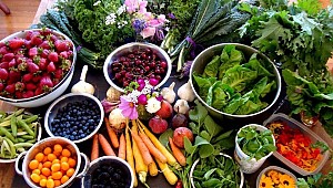 Hormonlarınızı sıfırlayarak kilo verin