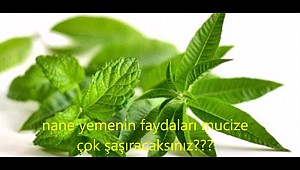 İşte her gün taze nane yemenin bilinmeyen faydaları