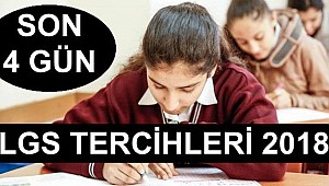 Lise tercihleri ne zaman sona erecek? MEB e-Okul LGS tercihleri 'Lise taban puanları -  yüzdelik dilimleri