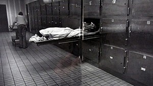 Mısır'da hastanede büyük şok! Akılalmaz olay