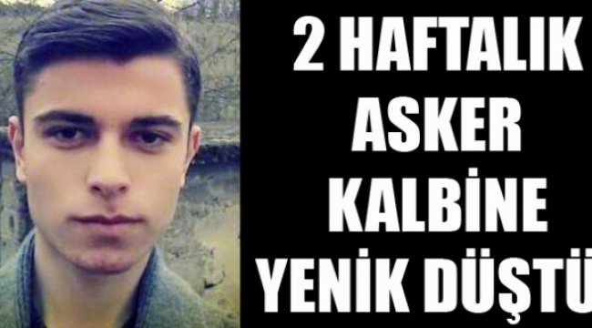 2 haftalık asker kalbine yenik düştü