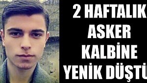 2 haftalık asker kalbine yenik düştü