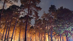 500 Futbol Sahası Büyüklüğündeki Alan Yangında Kül Oldu