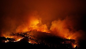 Afrin'de orman yangını