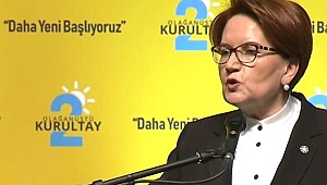 Akşener, Salondakilere 'Eteğinde Taş Kalan Var mı?' Diye Sordu
