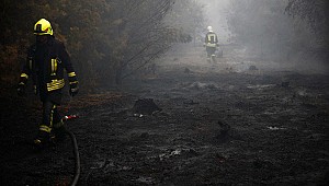 Almanya'da orman yangını