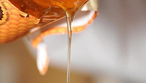 Anzer balının kilosu 940 lira; sipariş yağıyor