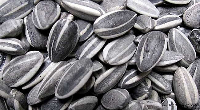 Ay çekirdeği Alzheimer’ı önlüyor