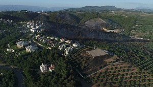 Bursa'da 20 Hektarlık Alan Kül Oldu Soğutma Çalışmaları Devam Ediyor