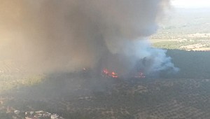 Çanakkale'de orman yangını