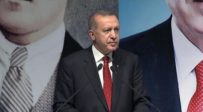 Erdoğan'dan kritik milli para açıklaması