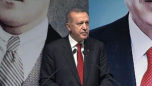 Erdoğan'dan kritik milli para açıklaması