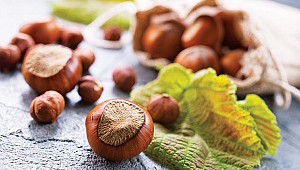 Fındıkta fiyat belirsizliği