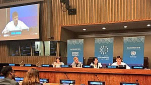 Girişim Hareketi globalleşiyor