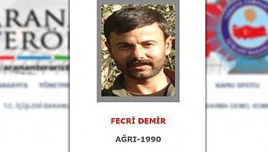 Gri listedeki terörist etkisiz hale getirildi