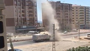 Hatay'da ilginç olay! Gördüğü halde üstüne sürdü...