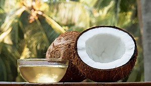 “Hindistan cevizi yağı saf zehir”