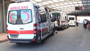 Keçi 3'üncü kattan adamın üzerine düştü!