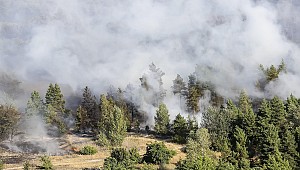 Kırım'da başlayan orman yangını söndürülemiyor