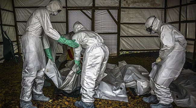 Kongo Demokratik Cumhuriyeti'nde Ebola alarmı sürüyor