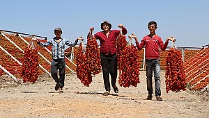 Kurutmalık sebzeler Suriyelilere ekmek kapısı oldu