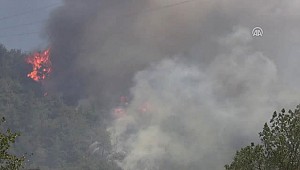 Mudanya'daki Orman Yangını Kontrol Altına Alındı (2)