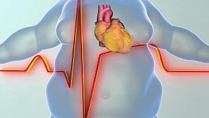 Obezite her geçen gün kalbe zarar