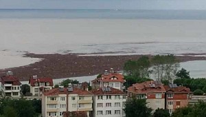 Ordu'da selin ardından denizde fındık adası oluştu