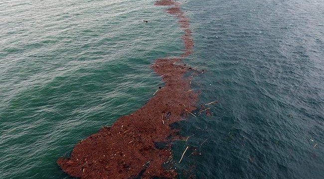 Ordu'daki sel felaketinin bilançosu açıklandı!