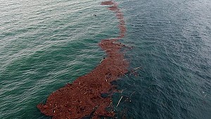 Ordu'daki sel felaketinin bilançosu açıklandı!