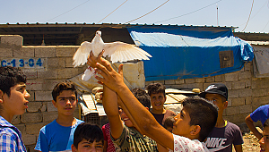 Savaşlarda ölen her 4 kişiden 3'ü sivil