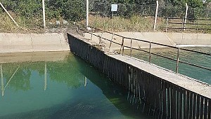 Suriyeli 2 kız kardeş sulama kanalında boğuldu