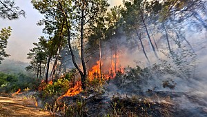 Tatilcilere orman yangını uyarısı