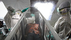 Yeni bir Ebola virüsüne rastlandı