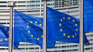 AB ülkeleri 270 milyar avro desteği kullanmadı