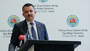 Bakan Pakdemirli “Döviz baskısına karşı tarımsal ihracatımızı artırmalıyız”