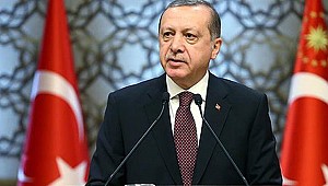 Cumhurbaşkanı Erdoğan, KKTC Başbakanı'nı kabul etti