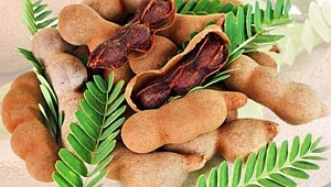 Demirhindinin faydaları nelerdir?