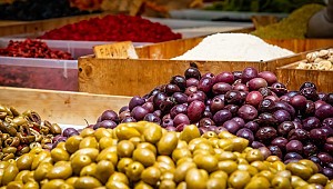 Edremit'te zeytin kümesi kuruldu