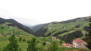 İçişleri Bakanlığından yaylacılara 'Yaşam malzemesi bırakmayın' uyarısı