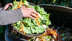 Suudi Arabistan'da 1 Trilyon Dolar Değerinde Gıda İsrafı Yapıyor