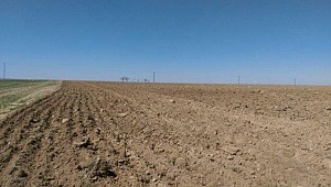 Atıl tarım arazileri üretime kazandırılacak