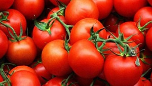 Domatesin fiyatını uçuran 4 neden