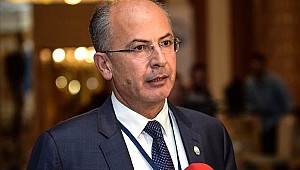 Saldırım: Referans metin kabul edilecek 'İstanbul Bildirgesi'ni oluşturduk