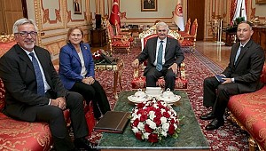TBMM Başkanı Yıldırım'ın görüşme ve kabulleri