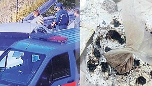 Yol kenarında şoke eden parti! Jandarma baskın yaptı