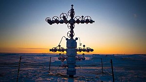 Zorlu Enerji’den o şirketleri için flaş karar