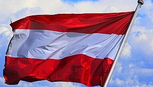 Avusturya'da aşırı sağcı partinin ırkçı paylaşımı tepki topladı